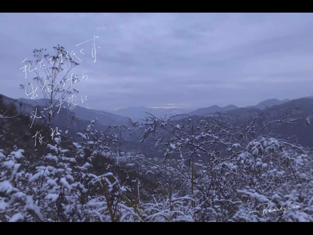性格高傲？爱恨分明？《斗破苍穹》的她与男主矛盾不断？