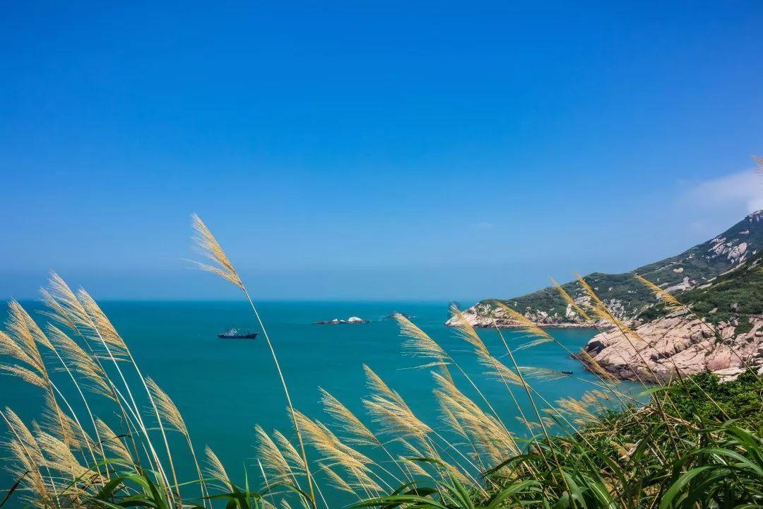 孙继海足球青训合作项目在金普新区落地